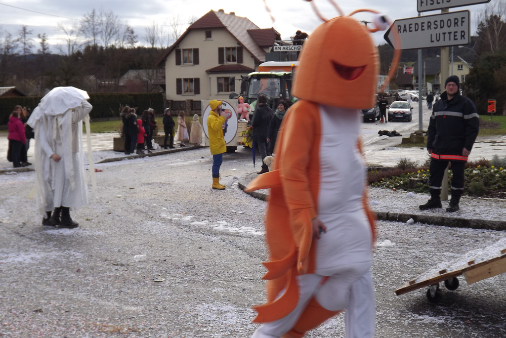 Carnaval Oltingue 2016 (199)