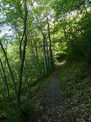 20200822 -0908 Diois Savoie Trieves Diois (25)