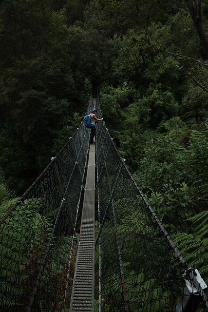 Bridge - Montezuma Falls