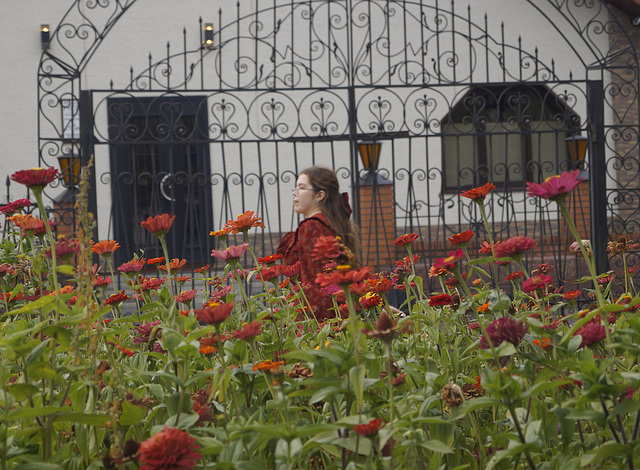 I sent to buy red flowers...