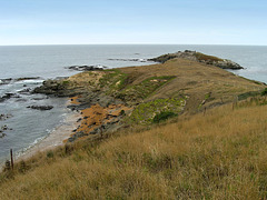 Katiki Point beach