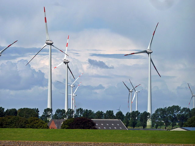 Windpark an der Unterelbe