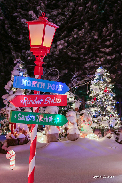 Les chemins de Noël