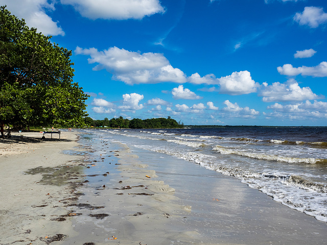 The Bay of Pigs (Spanish: Bahía de Cochinos), Playa Larga