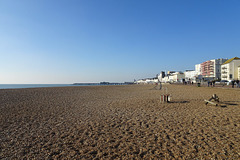 Hastings Beach