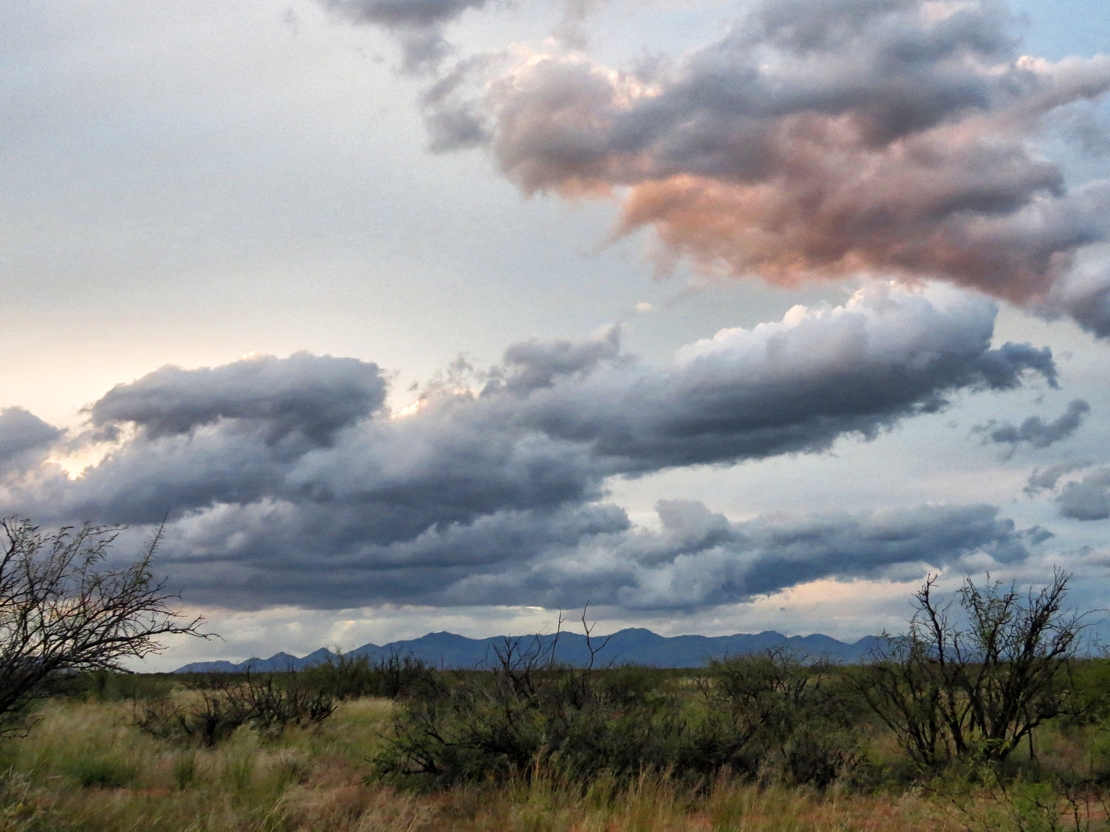 The Whetstone Mountains