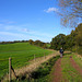 Path leading to Start's Green Farm