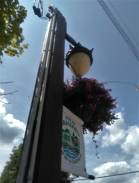 Vue électrique sur lampadaire de bouquet de la rue