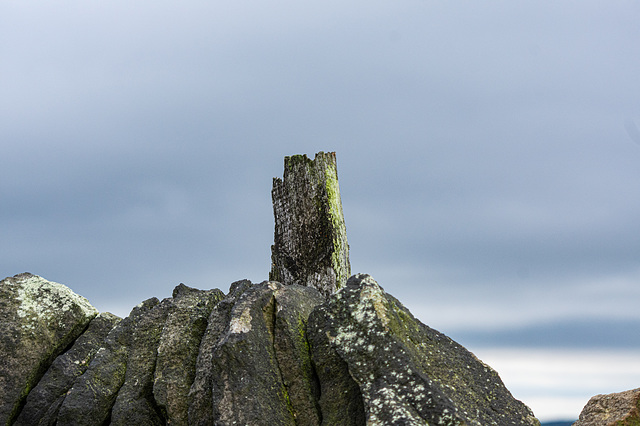 a weathered old post