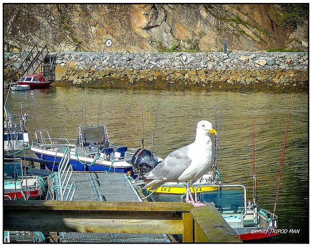 Norwegen