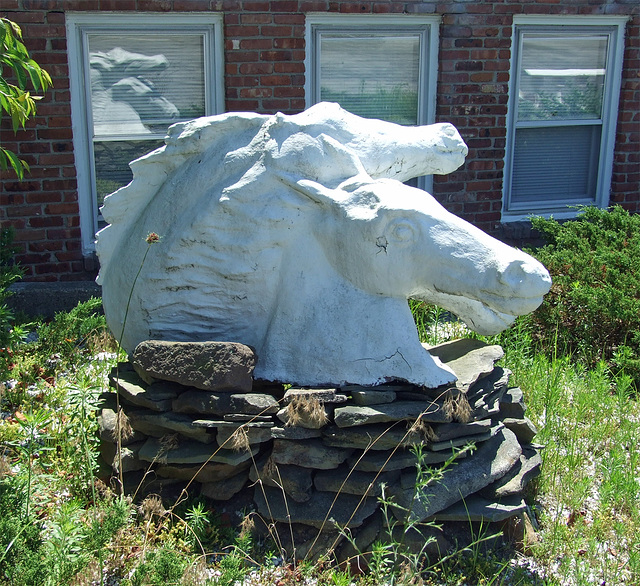 Horse Heads at Casa Basso, July 2011