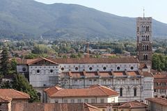 Dom San Martino in Lucca