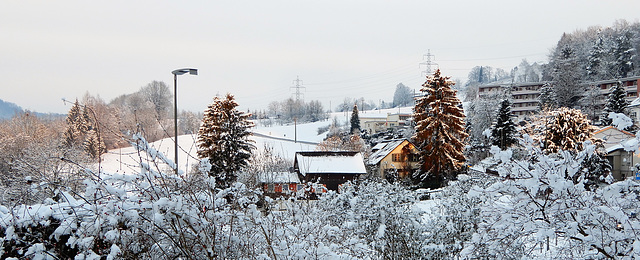 Winter impressions from my homeland Winter impressions from my homeland