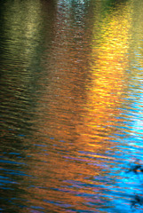 Autumn Reflections 2