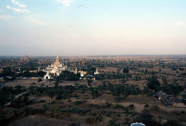 Nur einige der über 2000 Tempel und Pagoden von Bagan