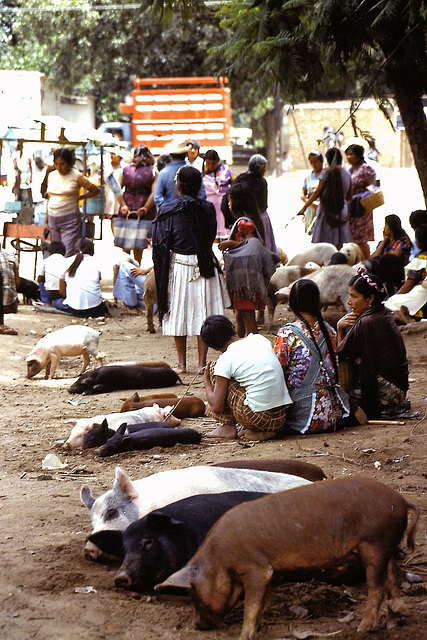 Marché au Mexique (MEX) Juillet 1979. (Diapositive numérisée).