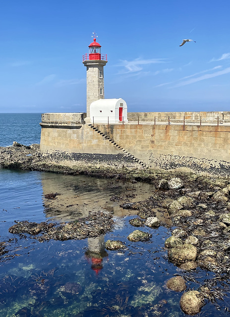 Porto 4 - Farol de Felguiras