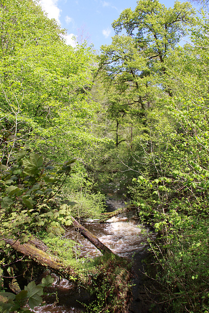 Nant llech