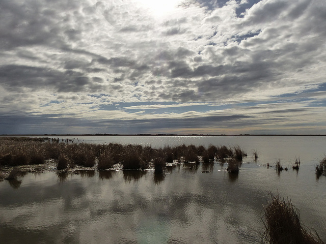 Into the sun at Frank Lake