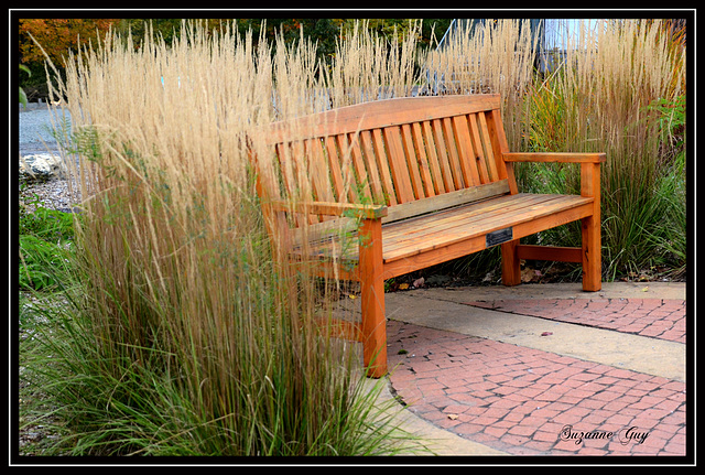 un banc de parc