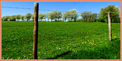 18 april Fence  a  better  spring