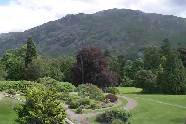 Place Fell through window glass