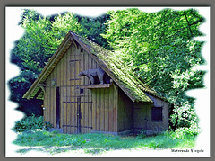 Bärenhütte Im Neuhauserwald