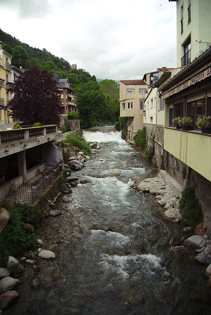 Ribes de Freser