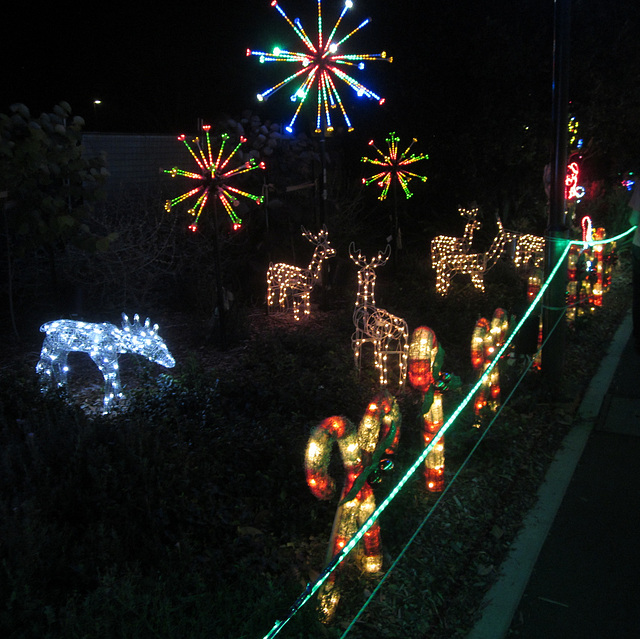 Christmas Lights Tmba Lions 2019 5962crop