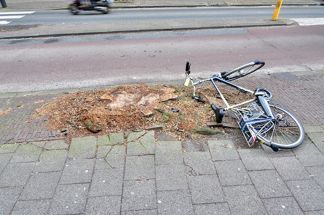 Leiden – Hooigracht