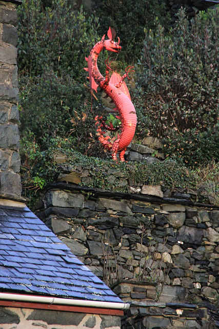 Barmouth dragon