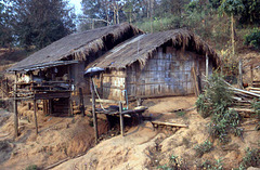 Chiang Mai- Elephant Camp