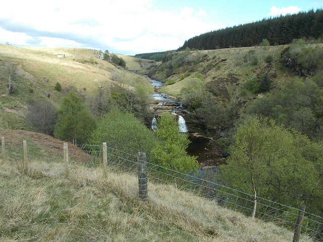 wcl - looking at Crammel Linn