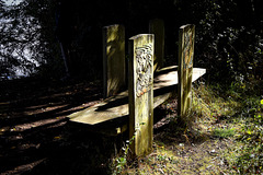 A very unusual bench at the end of the footpath