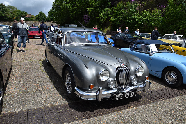 bobbmay272024 (1116)