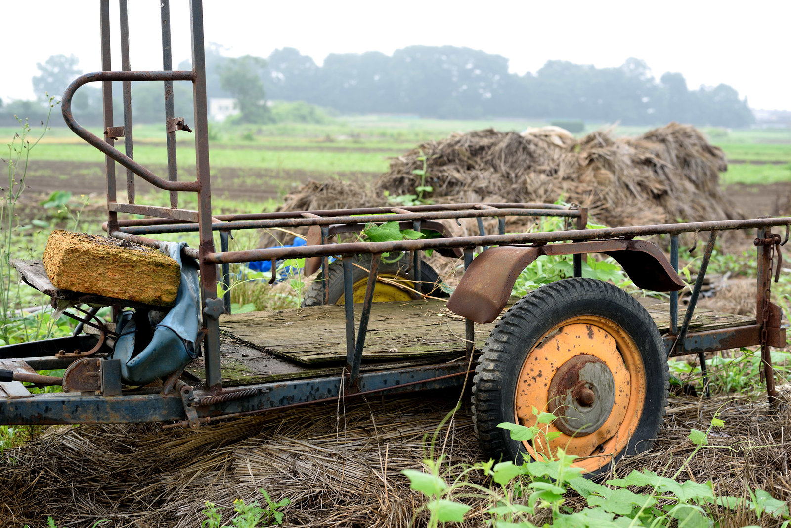 Abandoned trailer in the field