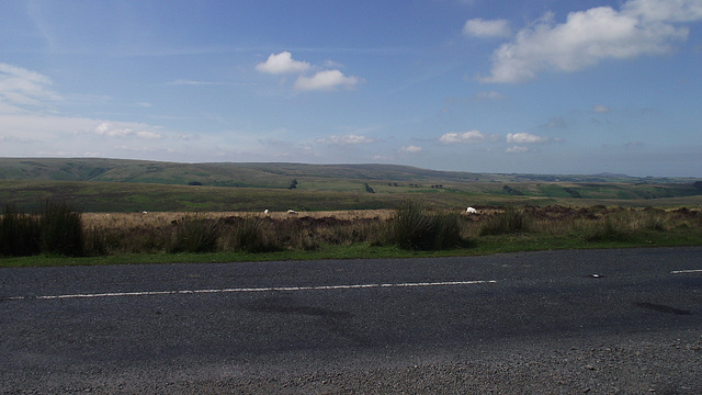 Looking across the moors