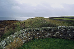 from behind the cemetery wall at Skaill to the North Sea