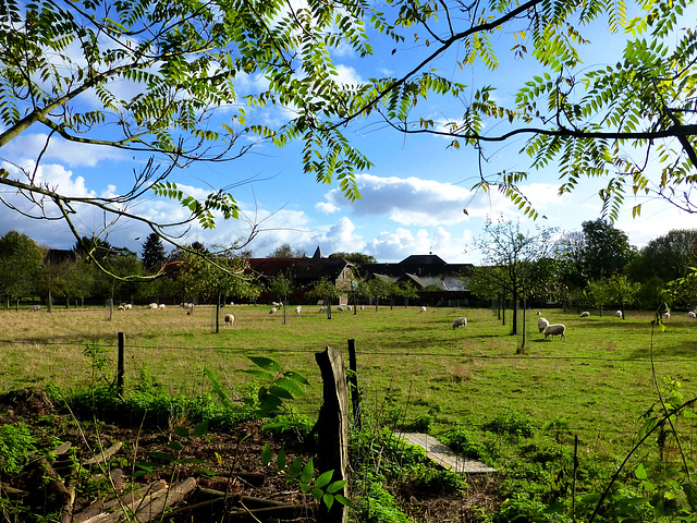 DE - Dormagen - Landscape near Kloster Knechtsteden