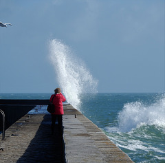 la mouette la vague et la dame en rouge