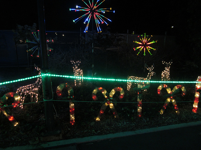 Christmas Lights Tmba Lions 2019 5963 Christmas Lights Tmba Lions 2019 5963