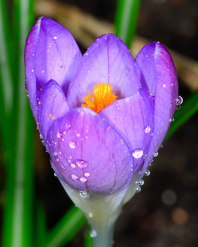 20120331