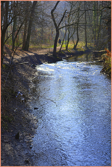 Lonely beside the river