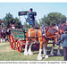 Mouland & Hook Norton shires LC Fair 2005 close up