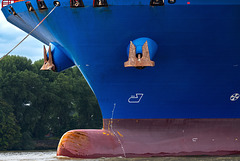 Die Cosco Shipping "Gemini" läuft ein - Hamburg (3 x PiP)