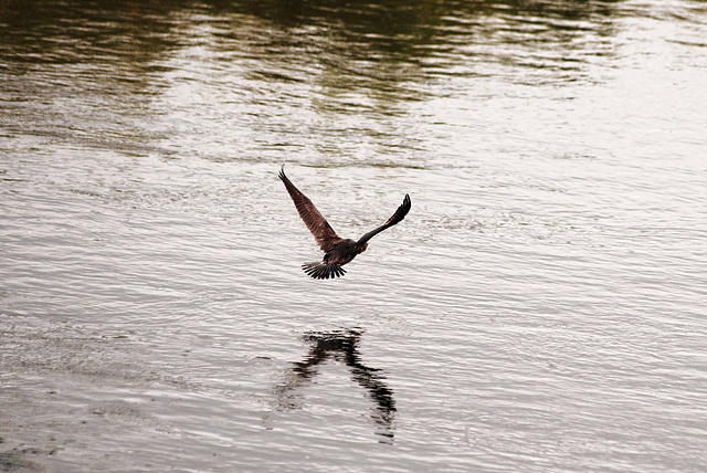 20231008_regensburg rundgang neu 300mm 2.8