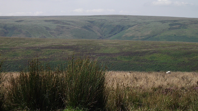 Part of Exmoor