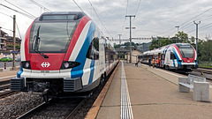 180608 Cossonay RABe522 LemExp 1