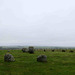 Torhouse Stone Circle