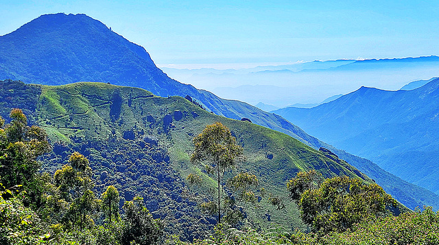 View from near Top Station (Munnar)
